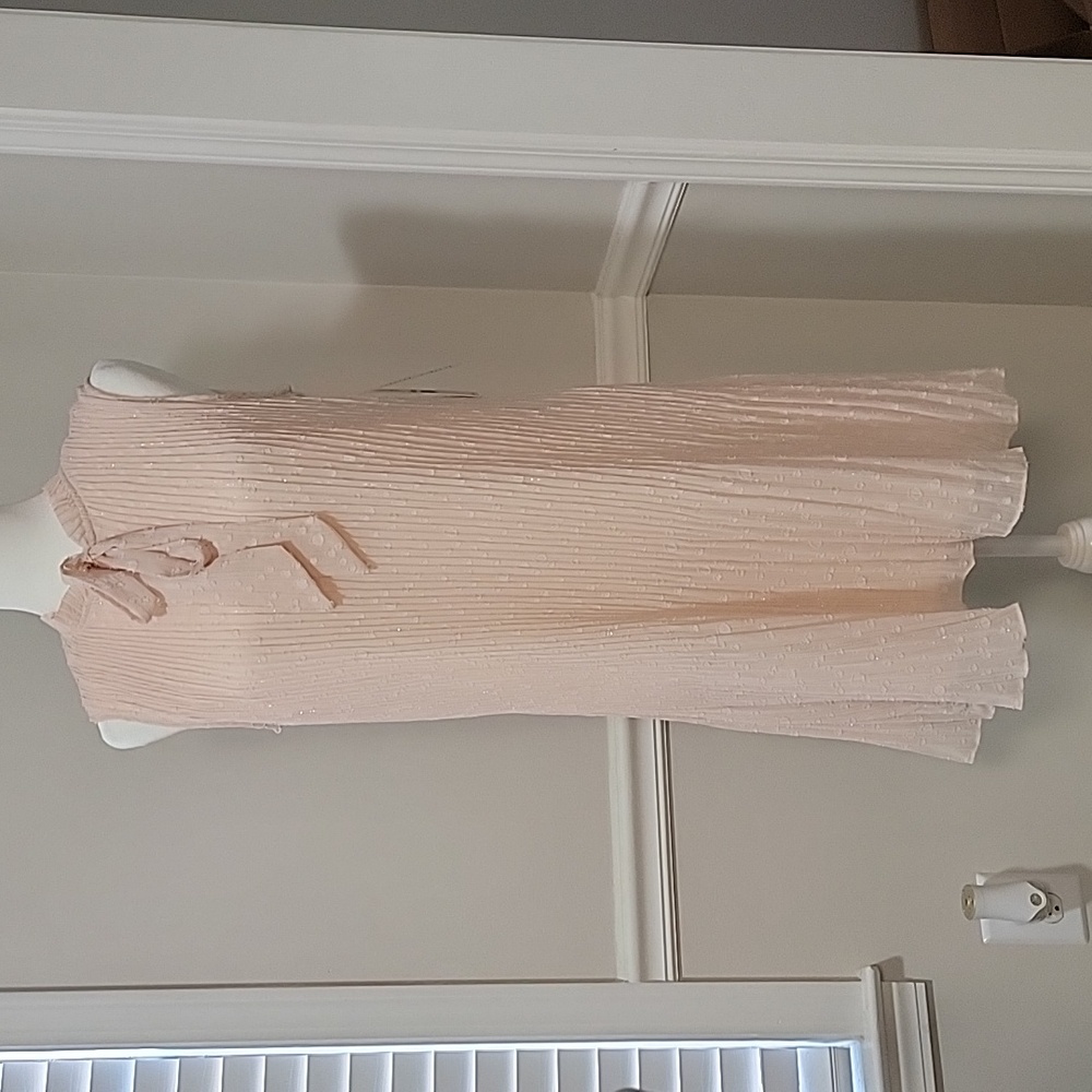 Nanette Lepore Dobby Chiffon Shift Dress